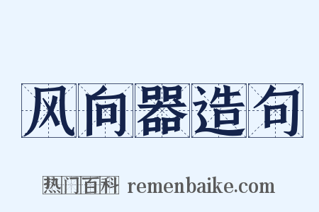 风向器造句是什么意思的图片